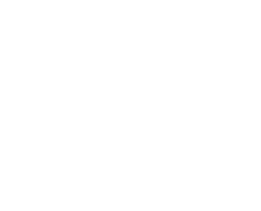 vip-tours-malta-logo